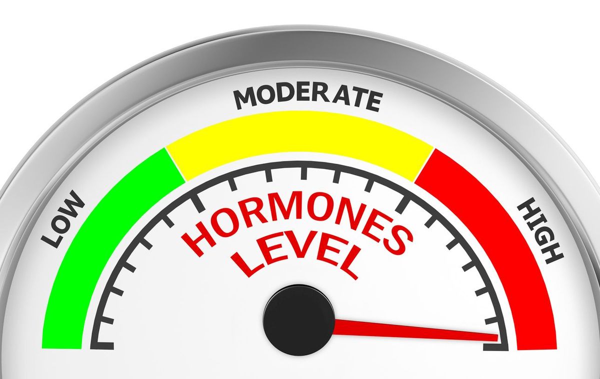 Getting Into Shape Means Hormones Need to Be Balanced